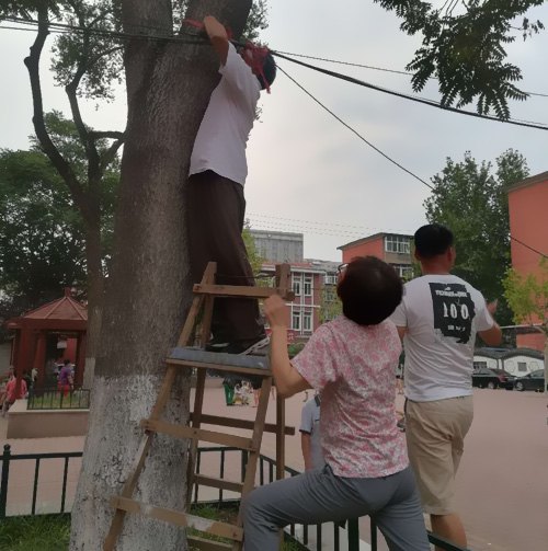 北村大街广场电线垂落，社区书记“解祸”